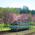 IMG_6341